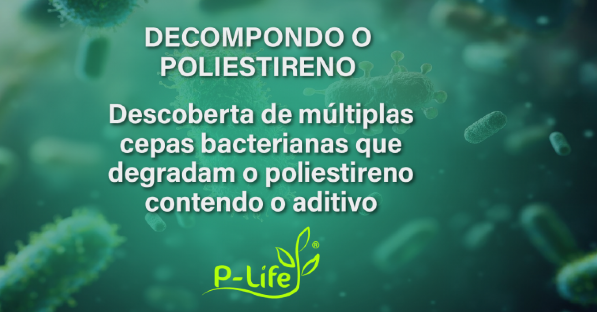 Cientistas Descobrem Bactérias Capazes de Degradar o Poliestireno - Eco ...